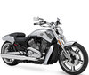 Ledlampen en HID Xenon Kits voor Harley-Davidson V-Rod Muscle 1250