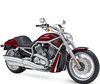 Ledlampen en HID Xenon Kits voor Harley-Davidson V-Rod 1130 - 1250