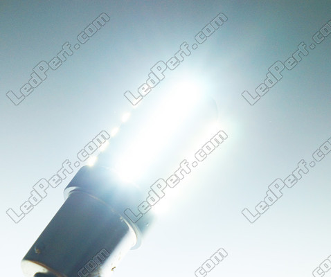 Verlichting lamp P21/5W LED (BAY15D) Ultimate Ultra krachtig