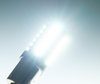 Verlichting lamp P21W LED (BA15S) Ultimate Ultra krachtig