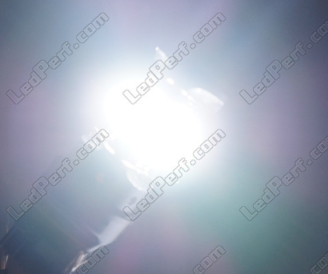 W21W LED Serie Ghost in wit licht