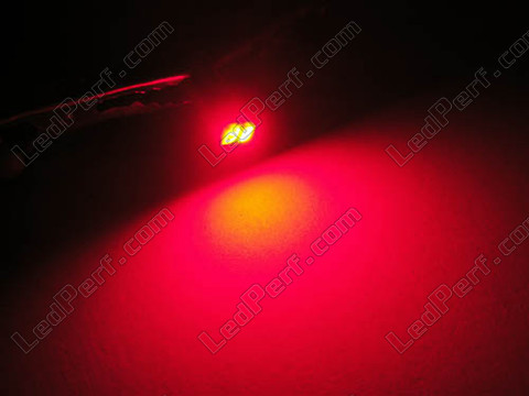 LED T5 Efficacity W1,2W met 2 rood leds