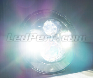 Optiek Motor Full LED Zwart voor Rond 7 inch koplamp - type 3 Zuiver wit verlichting