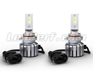 Paar H10 LED-lampen Osram LEDriving HL Bright - 9005DWBRT-2HFB