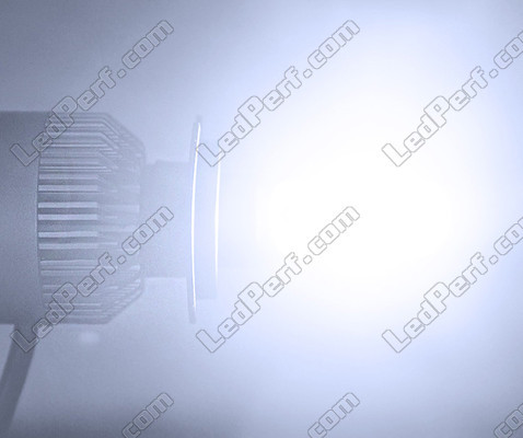 LED COB H11 lamp Motor
