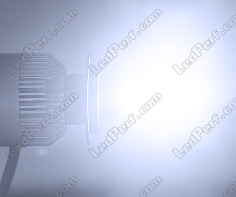LED COB H3 lamp Motor