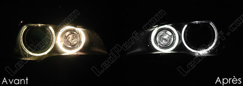 Leds wit Xenon voor angel eyes BMW X5 (E70) 6000K