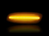 Maximale verlichting van de dynamische LED zijknipperlichten voor Citroen C3 II