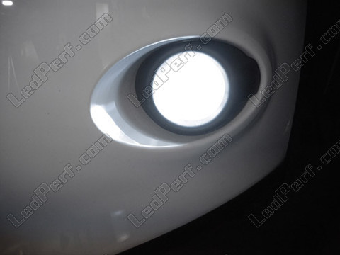 Ledlamp voor mistlichten met Xenon effect Ford Focus MK3