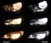 Led koplampen Land Rover Discovery III Tuning