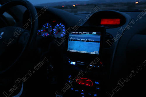 Led blauw en rood dashboard Peugeot 206 (>10/2002) met multiplex