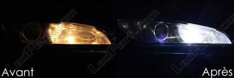 Ledlamp voor stadslichten wit Xenon Peugeot 406 Coupé