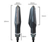 Alle Afmetingen van de Sequentiële LED knipperlichten voor Aprilia RS 125 Tuono