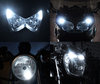 Led stadslichten wit Xenon Harley-Davidson XL 1200 N Nightster Tuning