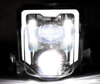 LED-koplamp voor Husqvarna TE 150 / 150i (2020 - 2023)