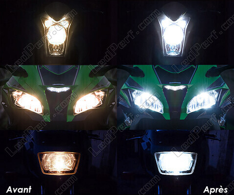 Led led-dimlicht en -grootlicht Indian Motorcycle Scout springfield / deluxe 1442 (2001 - 2003)