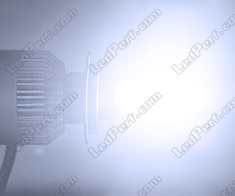 Set LED COB All in One Polaris Scrambler XP 1000 S (2020 - 2023)