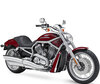 Motor Harley-Davidson V-Rod 1130 - 1250 (2002 - 2006)