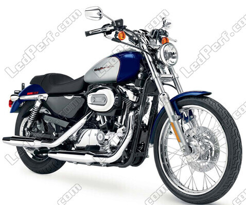 Motor Harley-Davidson Custom 1200 (2000 - 2010) (2000 - 2010)