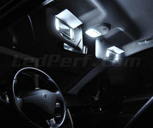 Set voor interieur luxe full leds (zuiver wit) voor Peugeot 207