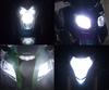 Set lampen voor de koplampen met Xenon-effect voor Yamaha YFM 125 Grizzly