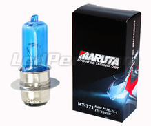 Lamp voor Motor H6M 35/35W MTEC Maruta Super White - Zuiver Wit