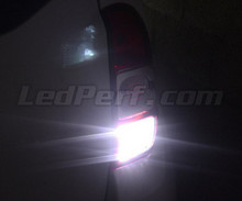 Ledset (wit 6000K) voor de achteruitrijlampen voor Dacia Duster