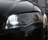 Set dagrijlichten (wit Xenon) voor Audi A4 B7