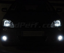 Set lampen voor de koplampen met Xenon-effect voor Toyota Corolla E120