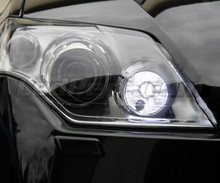 Set dagrijlichten met leds (wit Xenon) voor Renault Laguna 3