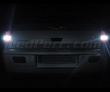Ledset (wit 6000K) voor de achteruitrijlampen voor Chrysler 300C