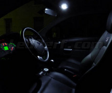 Set voor interieur luxe full leds (zuiver wit) voor Ford Fiesta MK6