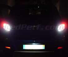 Ledset (wit 6000K) voor de achteruitrijlampen voor Dacia Sandero 2