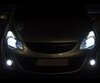 Set lampen voor de koplampen met Xenon-effect voor Opel Corsa D