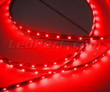 Flexibele standaard strip met 50 cm (30 leds cms) rood