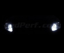 Set positielichten en dagrijlichten wit Xenon Opel Corsa D -