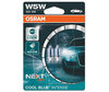 Paar W5W Osram Cool Blue Intense NEXT GEN Lampen - 2825CBN-02B