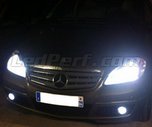 Set lampen voor de koplampen met Xenon-effect voor Mercedes Classe A (W169)