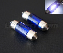 Set met 2 halogeen soffittenlampen - Wit Xenon - 31 mm (10 W)