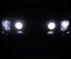 Set lampen voor de koplampen met Xenon-effect voor Ford Mustang